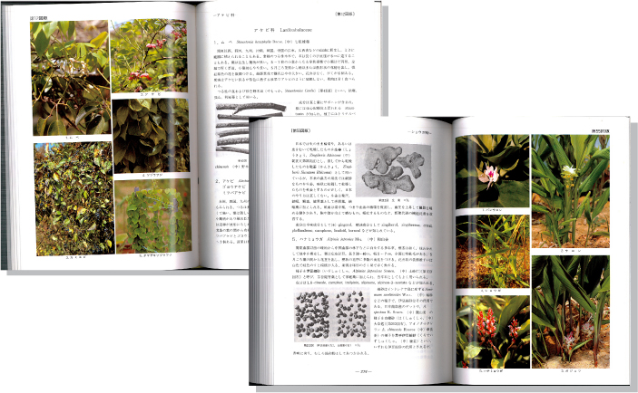 原色日本薬用植物図鑑見開き