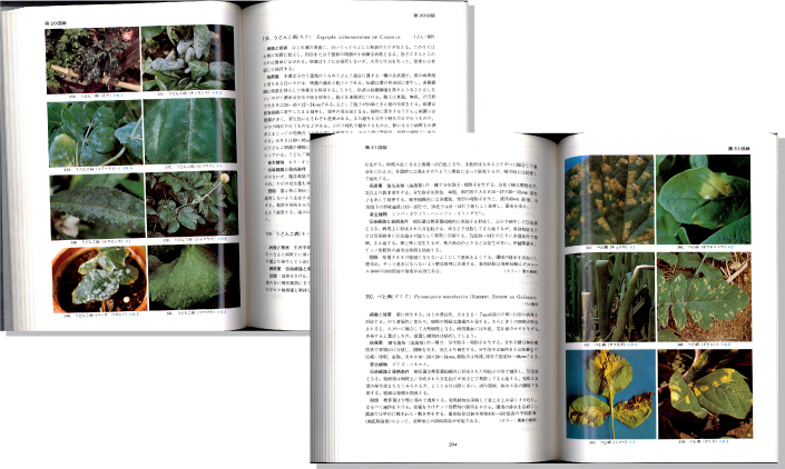 原色草花野菜病害虫図鑑見開き