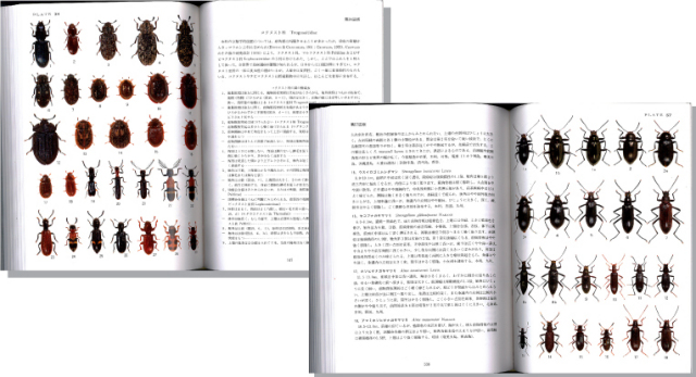 原色日本甲虫図鑑3見開き