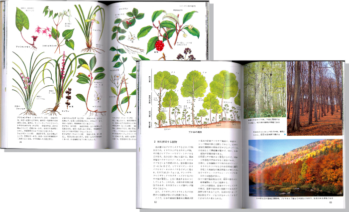 日本の植生図鑑1森林見開き
