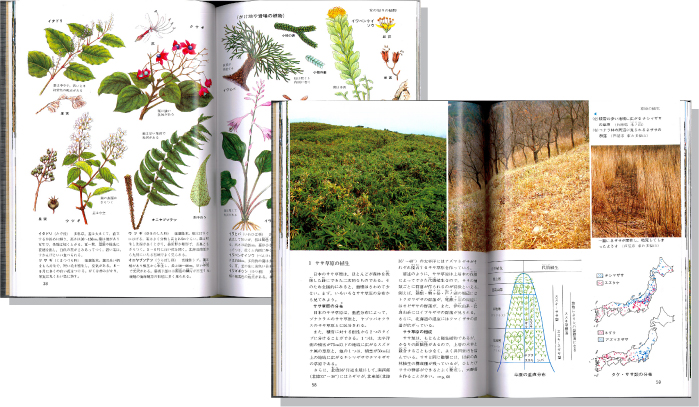 日本の植生図鑑2見開き