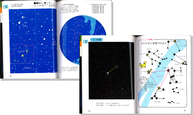 星座 春