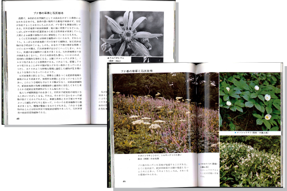 日本列島の植物見開き
