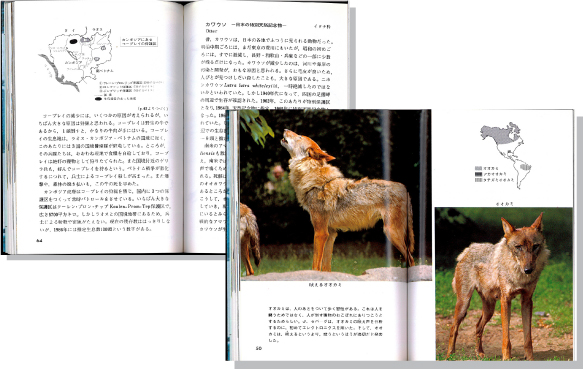 滅びゆく動物見開き
