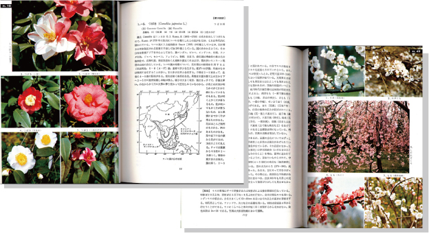 原色園芸植物図鑑5花木編見開き