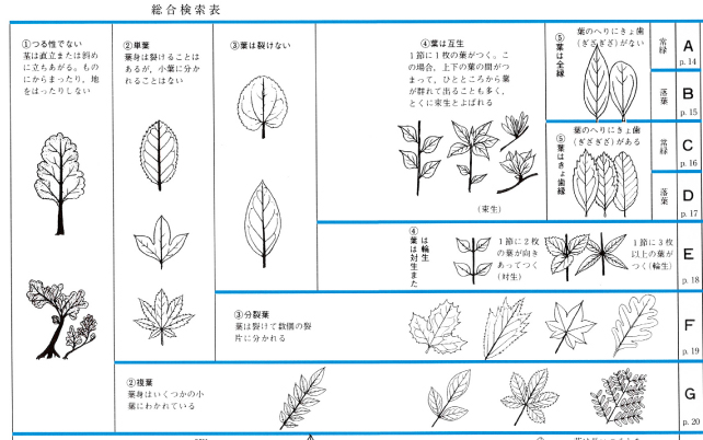 総合検索表