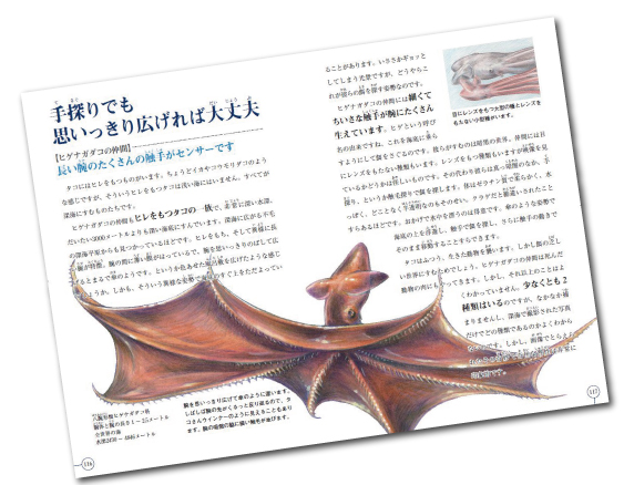 【改訂新版】深海魚摩訶ふしぎ図鑑