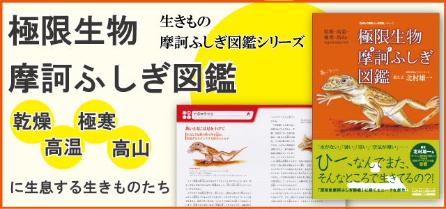 極限生物摩訶ふしぎ図鑑-乾燥・高温・極寒・高山に生息する生きものたち-