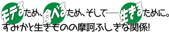 すみかと生きもの摩訶ふしぎな関係!