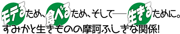 すみかと生きもの摩訶ふしぎな関係！