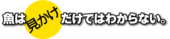 魚は見かけだけではわからない